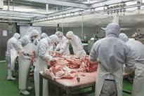 중국, 돼지고기발 인플레 오나…올해 들어 최고가격...