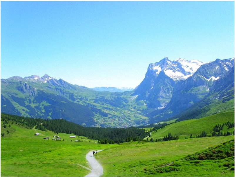 Ŭ���Ͻø� ���� ũ���� �̹����� ���� �� �ֽ��ϴ�.