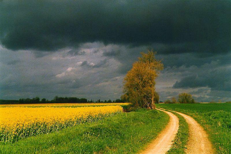 Ŭ���Ͻø� ���� ũ���� �̹����� ���� �� �ֽ��ϴ�.