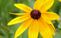 ���������ֽ�����