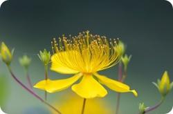 Ŭ���ϸ� ���� �������� �̹����� ���Ǽ� �ֽ��ϴ�.