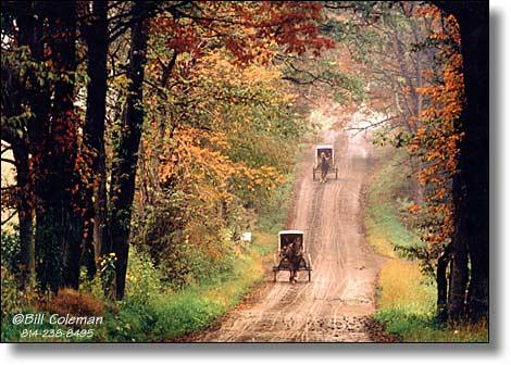 Ŭ���ϸ� ���� �������� �̹����� ���Ǽ� �ֽ��ϴ�.