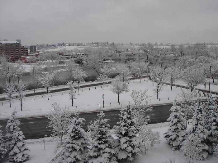 Ŭ���ϸ� ���� �������� �̹����� ���Ǽ� �ֽ��ϴ�.