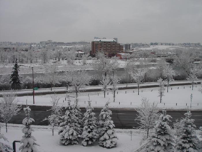 Ŭ���ϸ� ���� �������� �̹����� ���Ǽ� �ֽ��ϴ�.