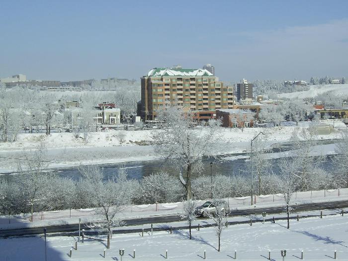 Ŭ���ϸ� ���� �������� �̹����� ���Ǽ� �ֽ��ϴ�.