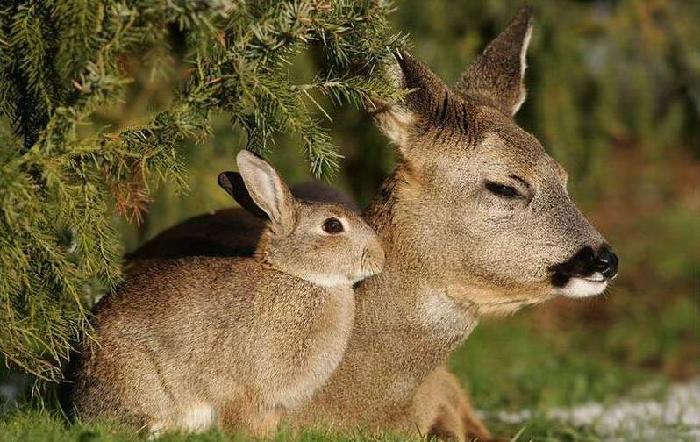 Ŭ���ϸ� ���� �������� �̹����� ���Ǽ� �ֽ��ϴ�.