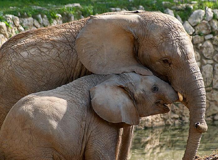 Ŭ���ϸ� ���� �������� �̹����� ���Ǽ� �ֽ��ϴ�.