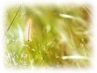 Ŭ���ϸ� ���� �������� �̹����� ���Ǽ� �ֽ��ϴ�.