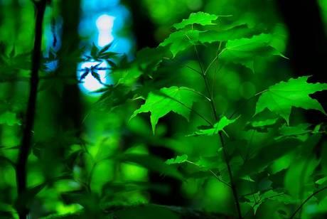 Ŭ���ϸ� ���� �������� �̹����� ���Ǽ� �ֽ��ϴ�.