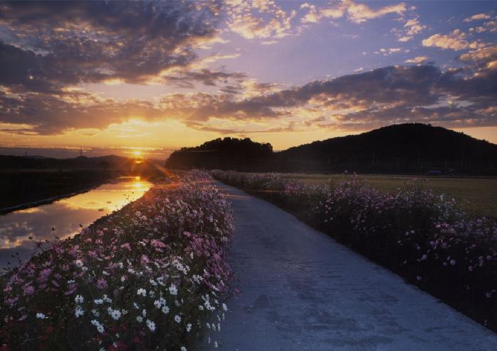 Ŭ���ϸ� ���� �������� �̹����� ���Ǽ� �ֽ��ϴ�.