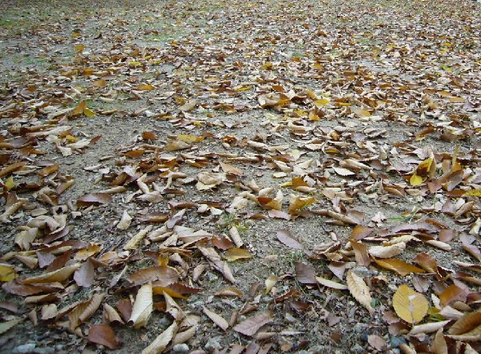 Ŭ���ϸ� ���� �������� �̹����� ���Ǽ� �ֽ��ϴ�.