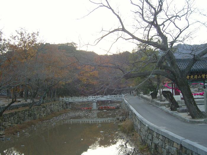 Ŭ���ϸ� ���� �������� �̹����� ���Ǽ� �ֽ��ϴ�.