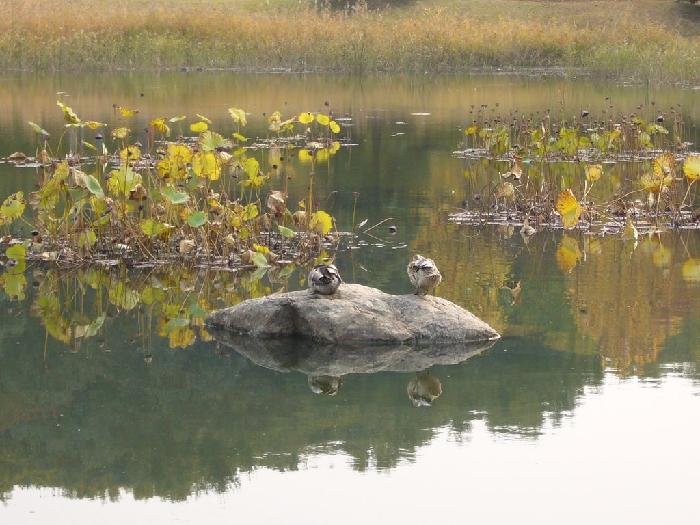 Ŭ���ϸ� ���� �������� �̹����� ���Ǽ� �ֽ��ϴ�.