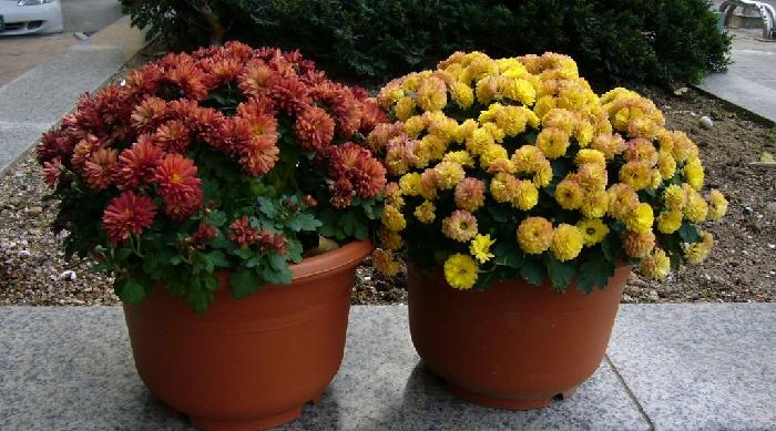 Ŭ���ϸ� ���� �������� �̹����� ���Ǽ� �ֽ��ϴ�.