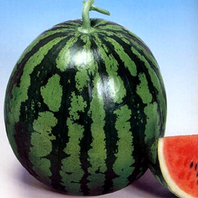 Ŭ���ϸ� ���� �������� �̹����� ���Ǽ� �ֽ��ϴ�.