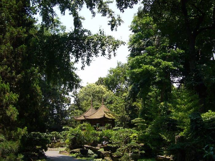 Ŭ���ϸ� ���� �������� �̹����� ���Ǽ� �ֽ��ϴ�.