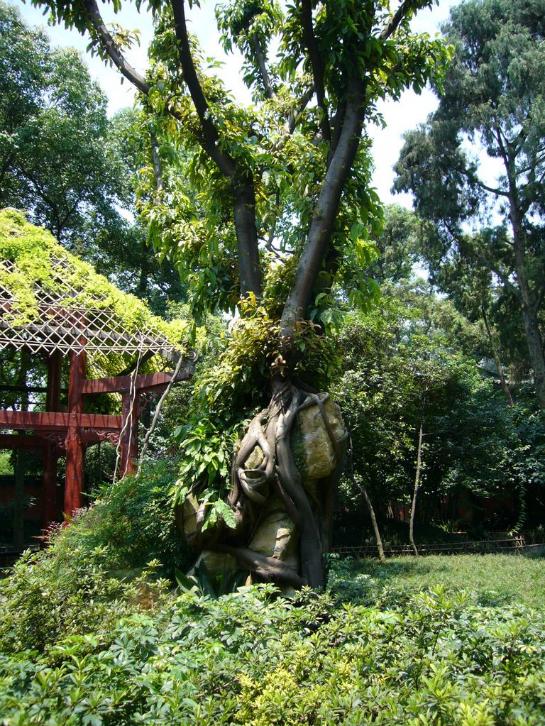 Ŭ���ϸ� ���� �������� �̹����� ���Ǽ� �ֽ��ϴ�.