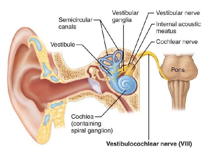 Ŭ���ϸ� ���� �������� �̹����� ���Ǽ� �ֽ��ϴ�.