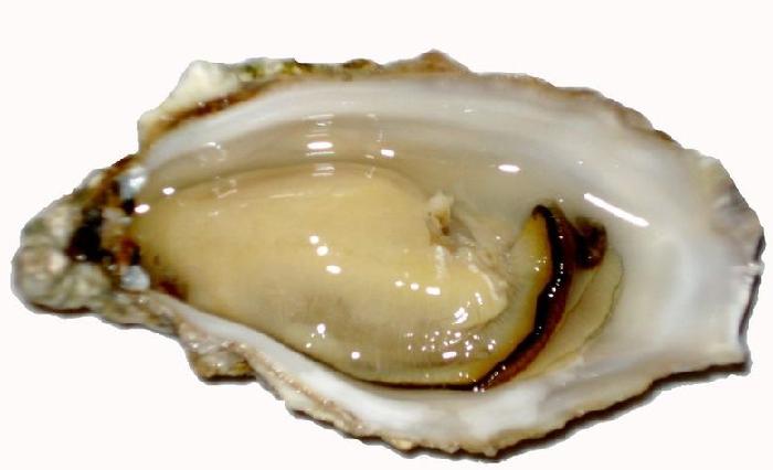 Ŭ���ϸ� ���� �������� �̹����� ���Ǽ� �ֽ��ϴ�.