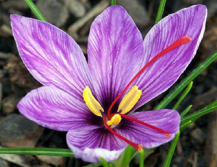 Ŭ���ϸ� ���� �������� �̹����� ���Ǽ� �ֽ��ϴ�.