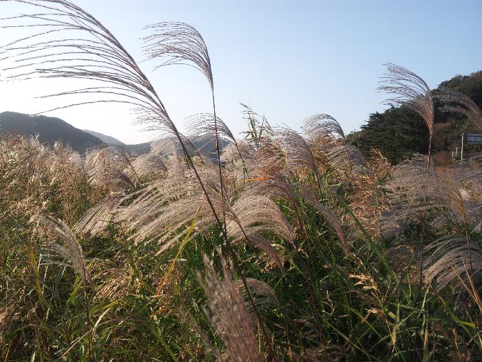 Ŭ���ϸ� ���� �������� �̹����� ���Ǽ� �ֽ��ϴ�.