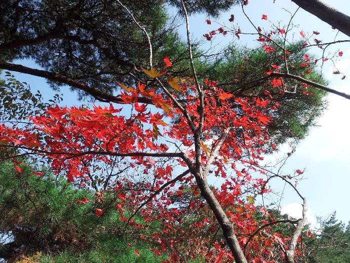 Ŭ���ϸ� ���� �������� �̹����� ���Ǽ� �ֽ��ϴ�.