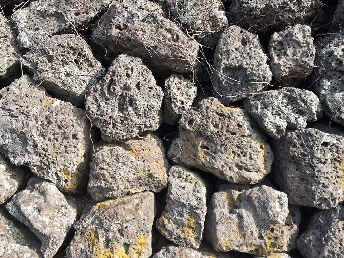 Ŭ���ϸ� ���� �������� �̹����� ���Ǽ� �ֽ��ϴ�.