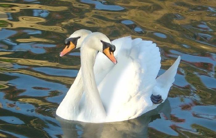 Ŭ���ϸ� ���� �������� �̹����� ���Ǽ� �ֽ��ϴ�.