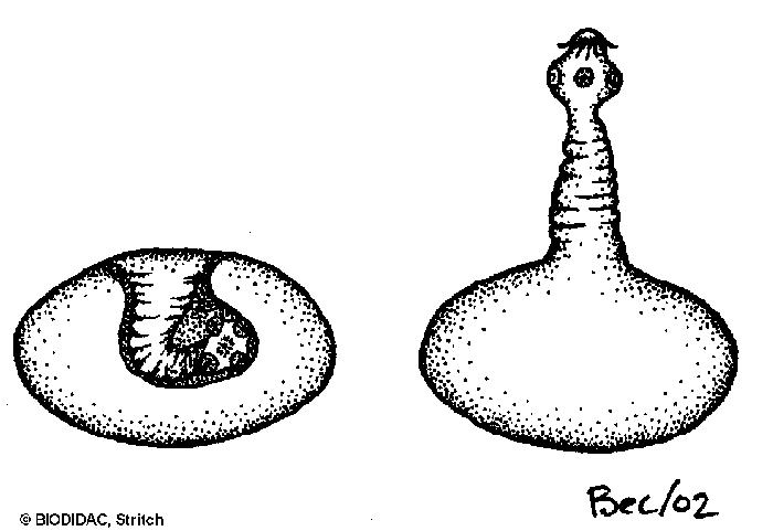Ŭϸ   ̹ Ǽ ֽϴ.