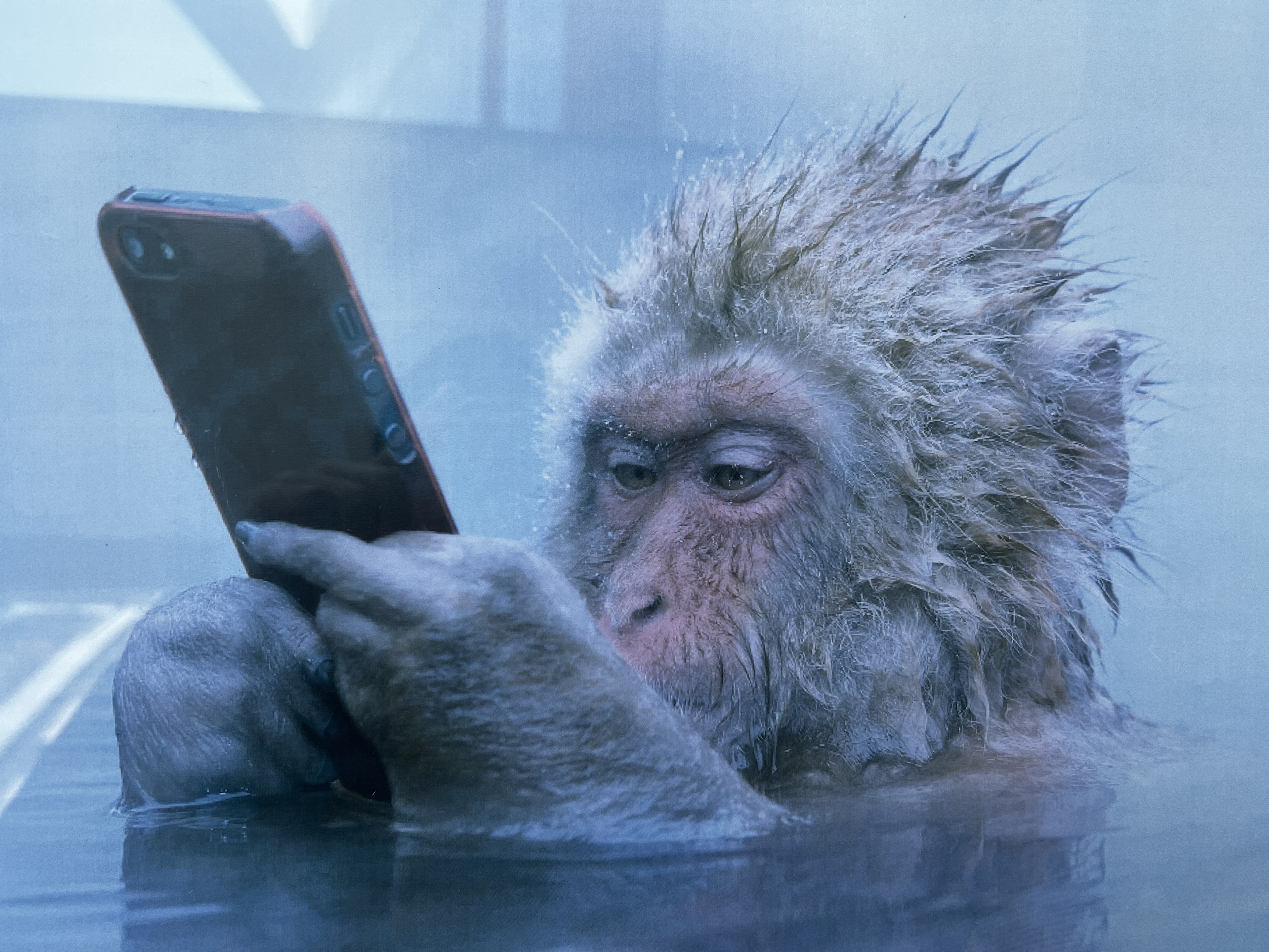 씽크풀 : 비트코인