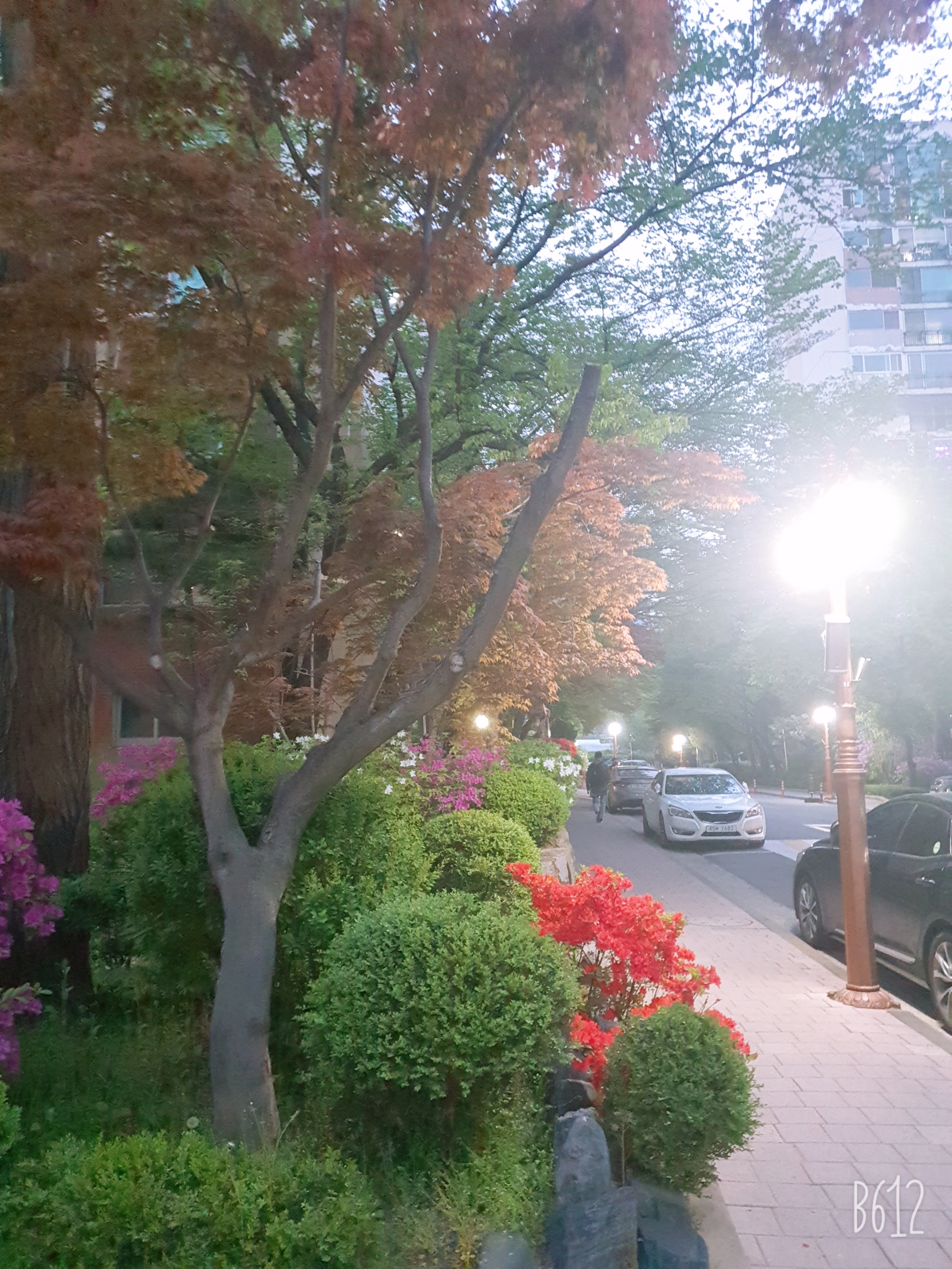 씽크풀 : 다들 좋은 주말보내세요 산책하기 날씨가 좋네요