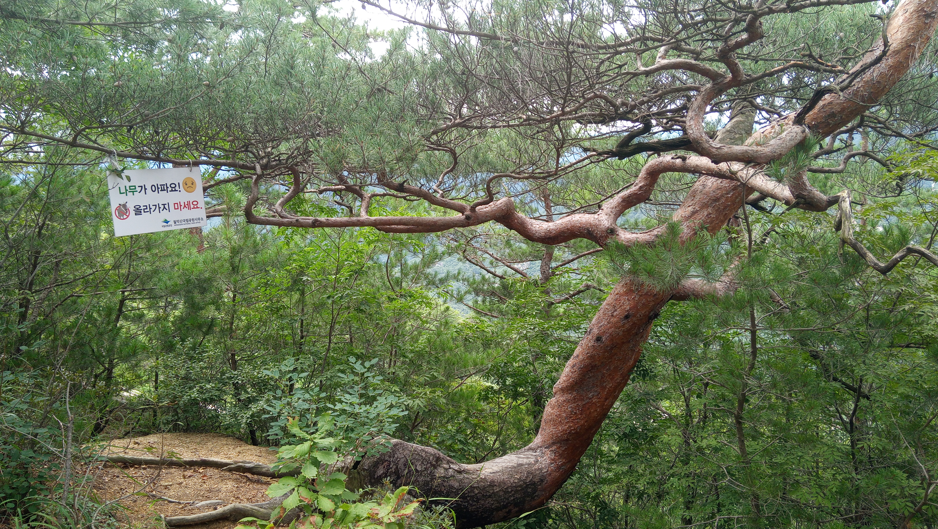 주식투자마스터